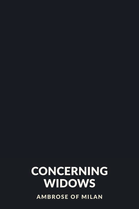 Cover of Concerning Widows