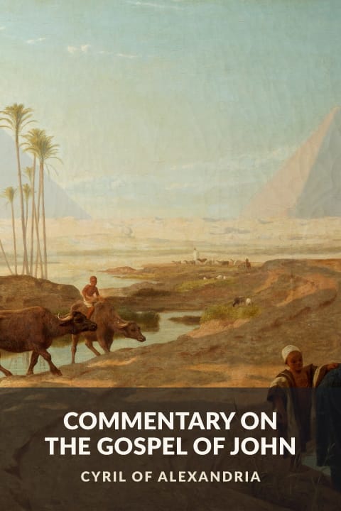 Cover of Commentary on the Gospel of John