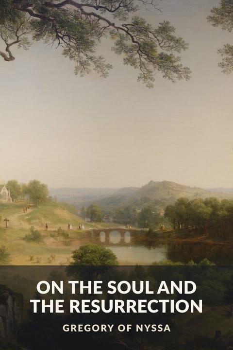 Cover of On the Soul and the Resurrection