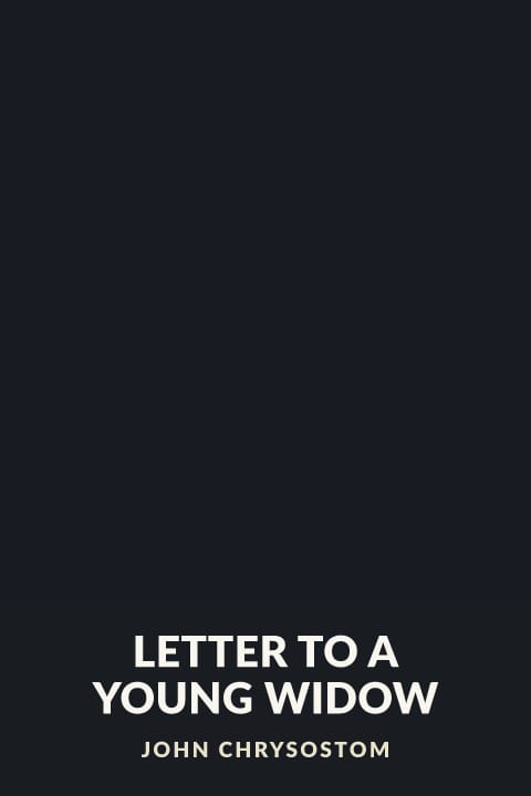 Cover of Letter to a Young Widow