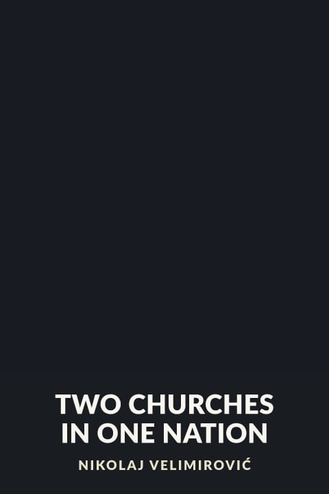 Cover of Two Churches in One Nation